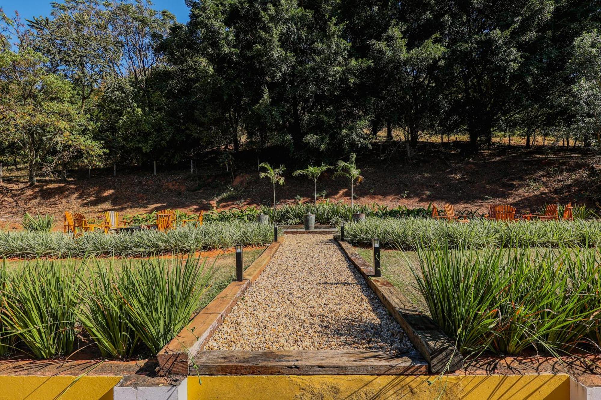 Vale Do Dinossauro Sao Pedro (Sao Paulo)